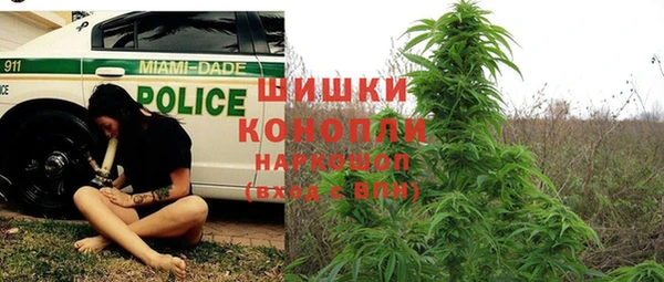 прущая мука Богородицк