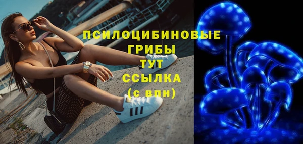прущая мука Богородицк