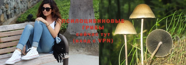прущая мука Богородицк